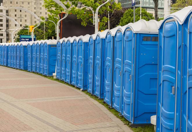 Seasonal porta potty units set up at a Millville, New Jersey venue